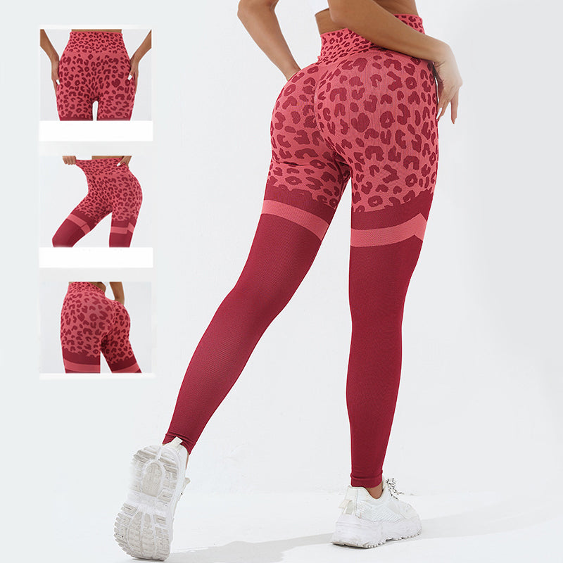 Leopard Print Fitness Pants - XTP Products