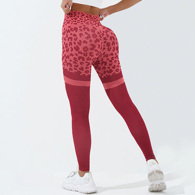 Leopard Print Fitness Pants - XTP Products